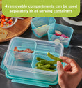 Snapware® TS Meal Prep Rectangle 8.5 Cup-4 Trays